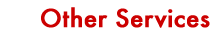 Other Services